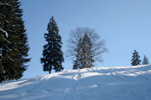 Blick zurück zum Gipfel