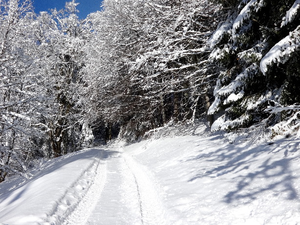 Aufstieg zum Winterberg