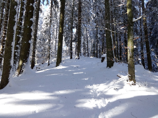 Aufstieg zum Winterberg