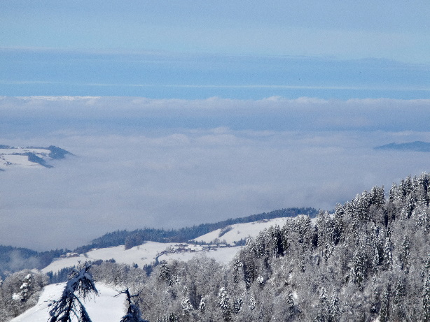 Blick nach Norden