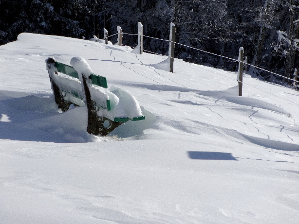 Gipfel Winterberg (1217m)