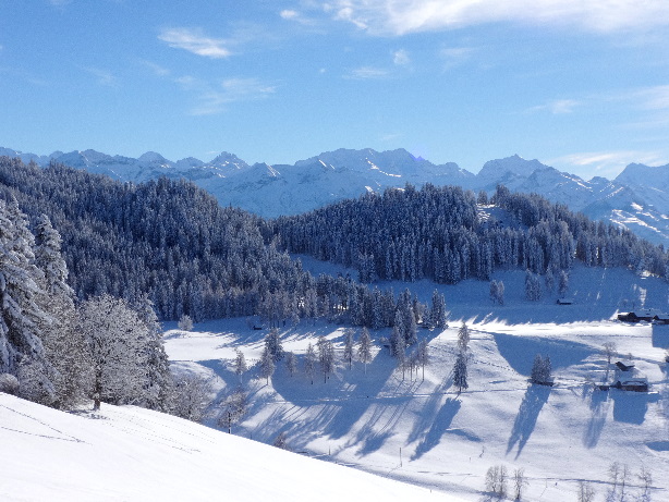 Gspaltenhorn, Blüemlisalp, Winterberg, Doldenhorn, Balmhorn