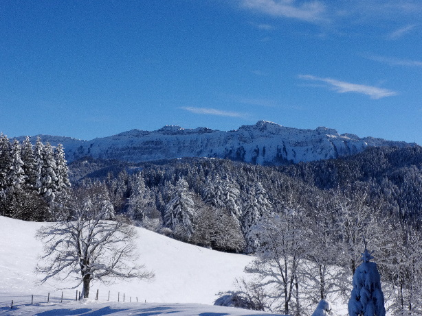 Sigriswiler Grat (2051m)