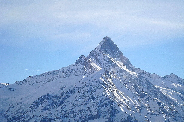 Schreckhorn (4078m)