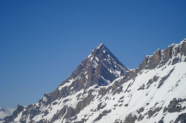 Rinderhorn (3448m)