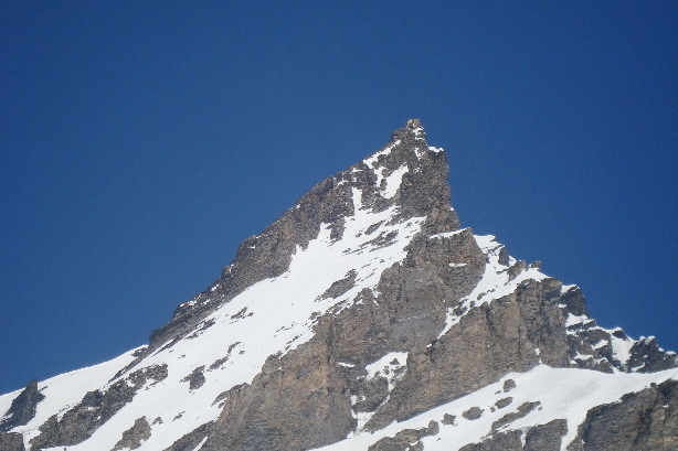 Balmhorn (3699m) - Gitzigrat
