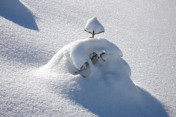 Alles frisch verschneit