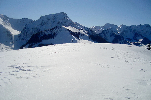 Summit Stäckhüttenghürn (1706m)