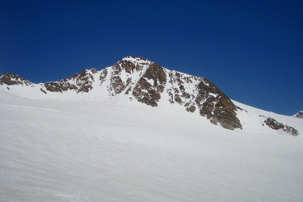 Walcherhorn (3692m)