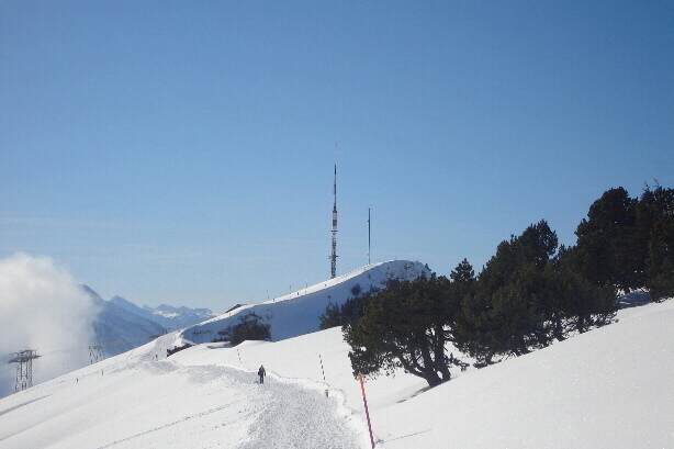 Niederhorn (1949m)