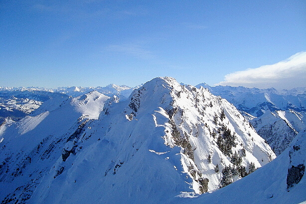 Stubeflue (2004m)