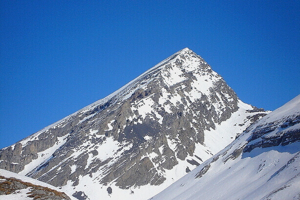 Rinderhorn (3448m)