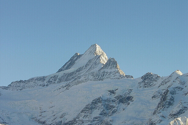 Lauteraarhorn, Schreckhorn, Nässihorn, Kleines Schreckhorn
