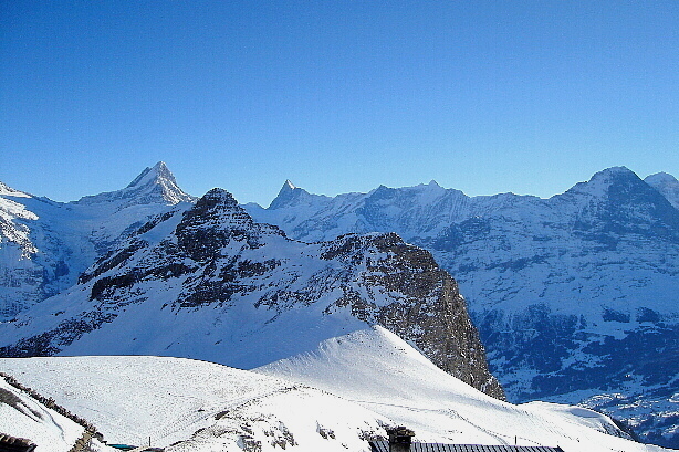 Schreckhorn, Reeti / Rötihorn, Simelihorn, Fiescherhörner, Finsteraarhorn, Eiger