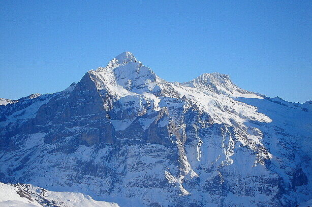 Wetterhorn (3692m) und Bärglistock (3656m)