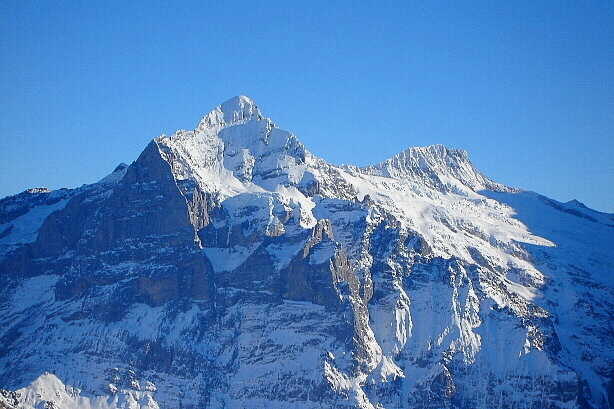 Wetterhorn (3692m) und Bärglistock (3656m)