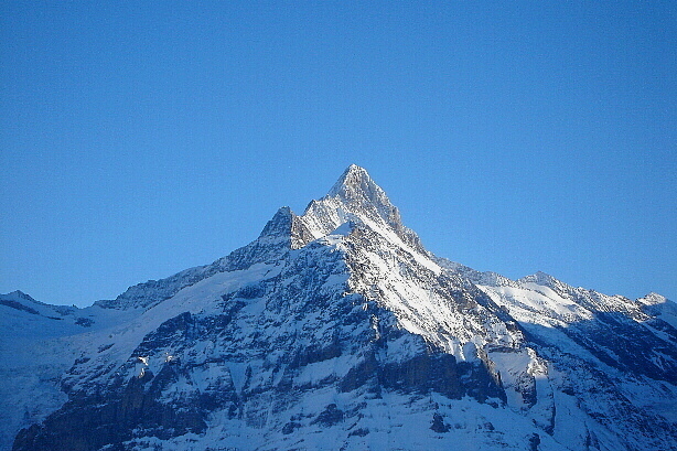 Schreckhorn (4078m)