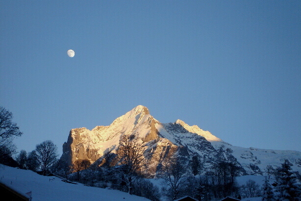 Wetterhorn (3692m) von Schwendi