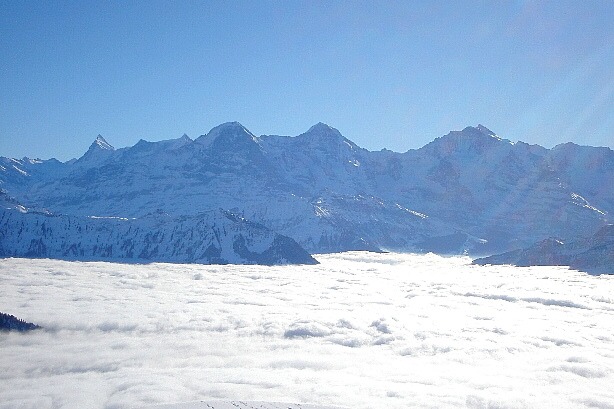 Finsteraarhorn (4272m), Eiger (3970m), Mönch (4107m), Jungfrau (4158m)