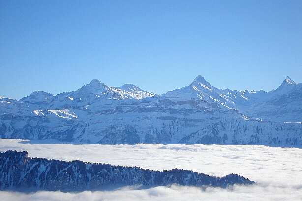 Wellhorn, Wetterhorn, Bärglistock, Schreckhorn, Finsteraarhorn