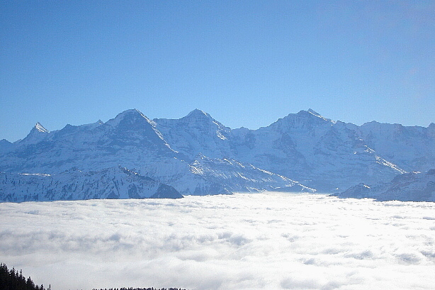 Finsteraarhorn, Eiger, Mönch, Jungfrau