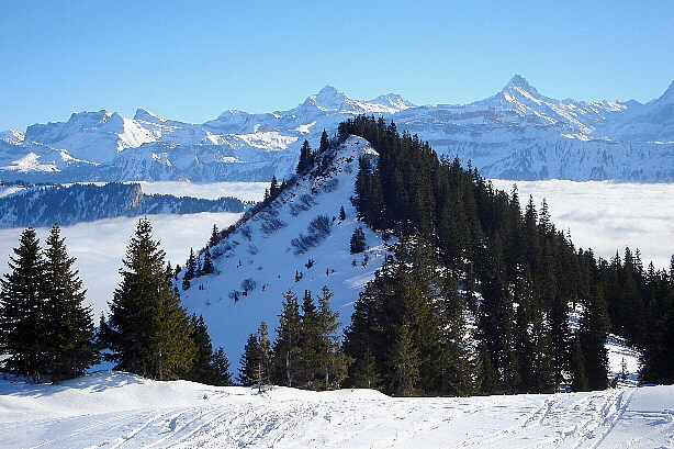Wildgärst, Schwarzhorn, Wetterhorn, Bärglistock, Schreckhorn