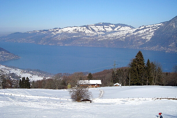Thunersee, Heiligenschwendi, Goldiwil, Sigriswil, Blueme
