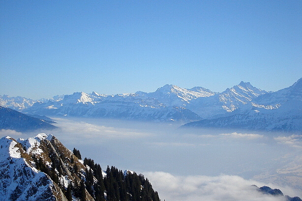 Schwarzhorn, Wellhorn, Faulhorn, Wetterhorn, Bärglistock, Schreckhorn