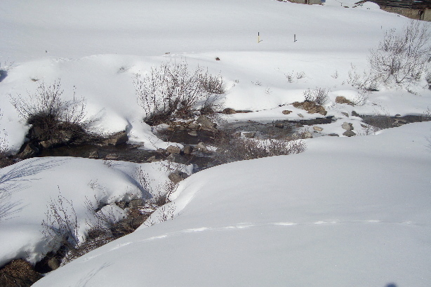 Der Rhein noch ganz klein (Hinterrhein)