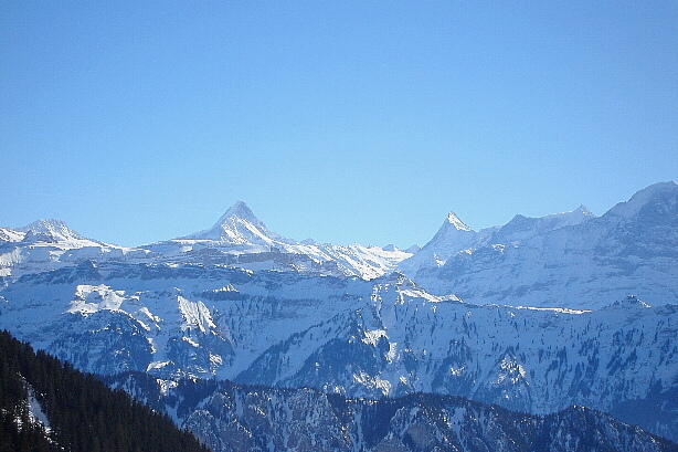 Bärglistock, Schreckhorn, Finsteraarhorn, Fiescherwand, Eiger