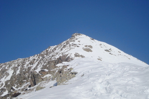 Sparrhorn (3021m)
