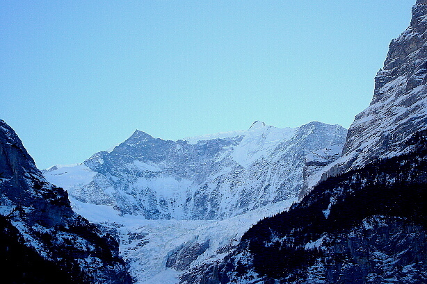 Fiescherhörner (4049m) und Fiescherwand von Grindelwald