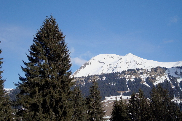 Albristhorn (2762m)