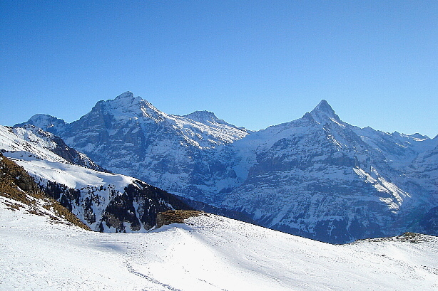 Wetterhorn (3692m), Bärglistock (3656m), Schreckhorn (4078m)