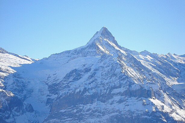 Schreckhorn (4078m)