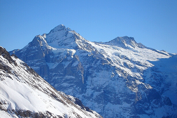 Wetterhorn (3692m) und Bärglistock (3656m)