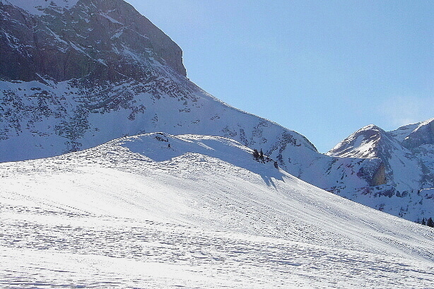 Summit of Walliser Wispile (1983m)