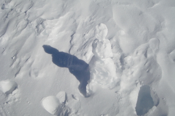 Snow man