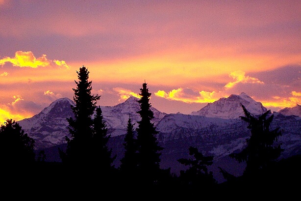 Eiger (3970m), Mönch (4107m) und Jungfrau (4158m)
