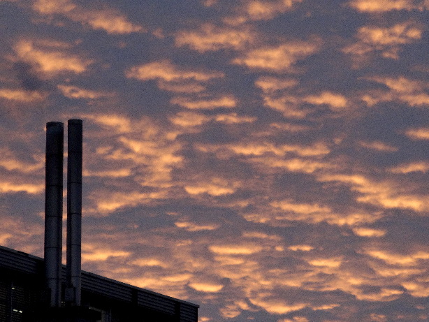 Tannackerstrasse - Gümligen