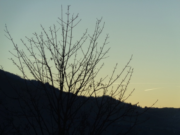 Aufgenommen in Niederrickenbach