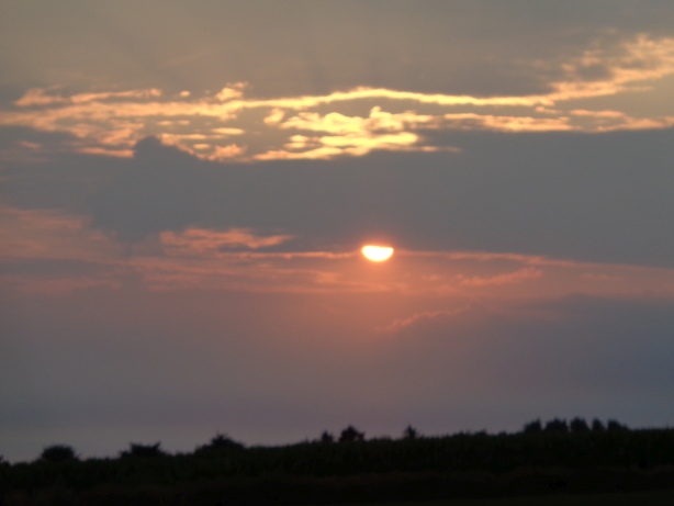 Zwischen Hattstedt und Wobbenbüll (Schleswig-Holstein)