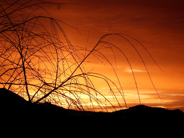 von Goldiwil, Obermatt