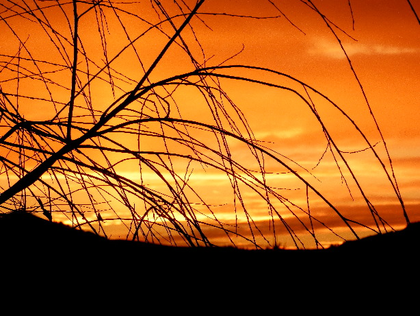 von Goldiwil, Obermatt