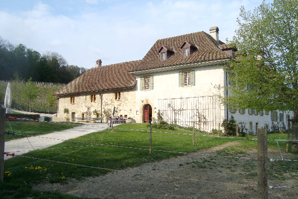 Kluniazenser-Kloster - St. Petersinsel