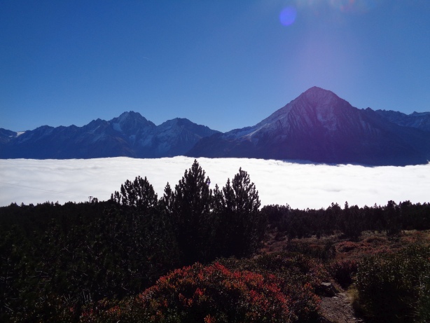 Gross Düssi, Fruttstock, Oberalpstock, Witenalpstock, Bristen