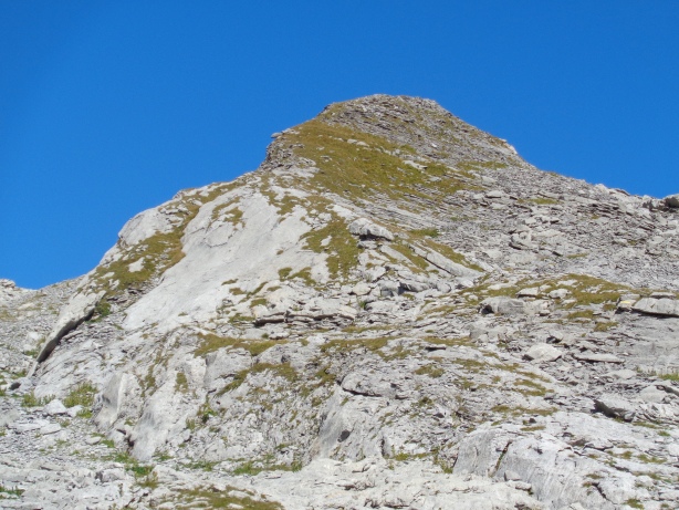 Tannenstock (2444m)