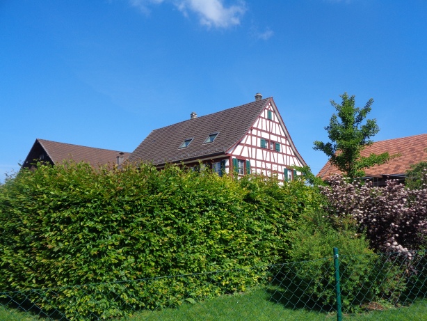 Rieghaus in Homburg
