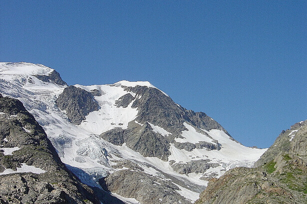 Vorder Tierberg (3091m)