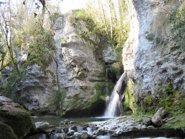 Tine de Conflens